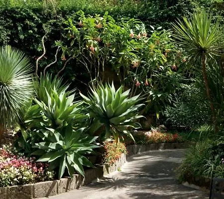 Hotel Imperial Tramontano Sorrento